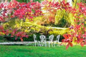 Read more about the article Good and fresh ideas how to decorate a garden