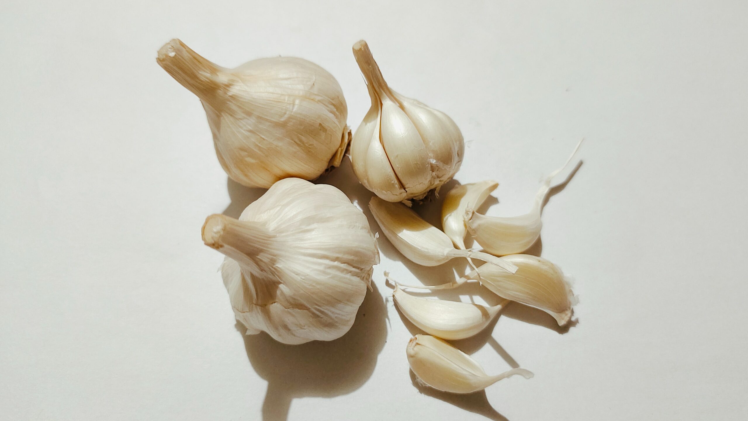 You are currently viewing How to transplant garlic?